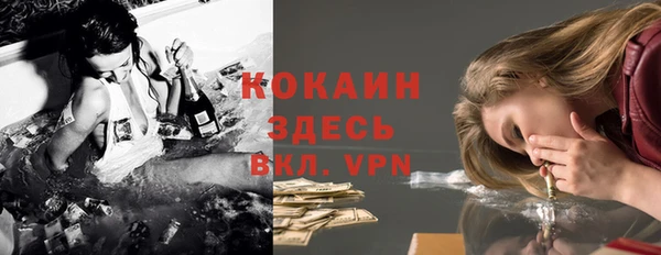 индика Армянск