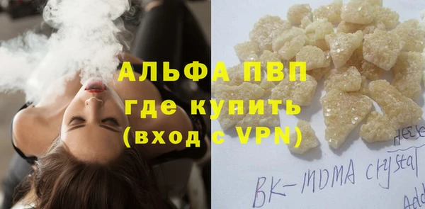 индика Армянск