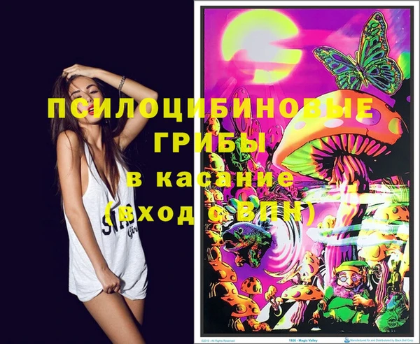 гашик Аркадак